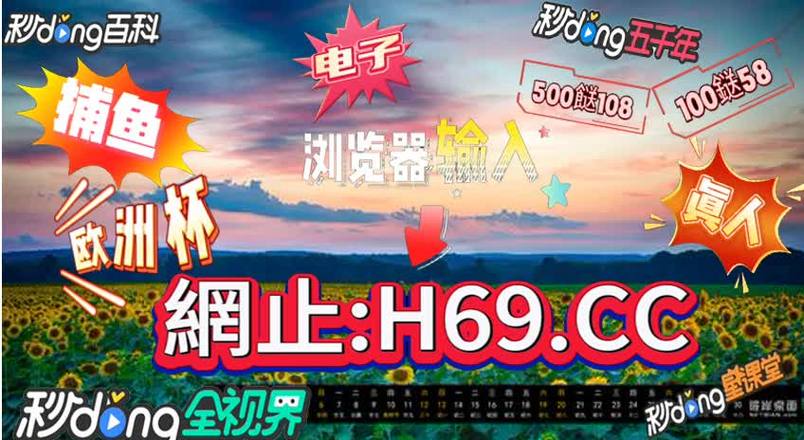 乐鱼体育官网独家:职业玩家在PG电子游戏中的成功秘诀分享,乐鱼体育手机官网